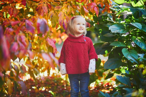 Urocza Dziewczynka Bawiąca Się Jesiennym Parku Szczęśliwy Dzieciak Cieszący Się — Zdjęcie stockowe