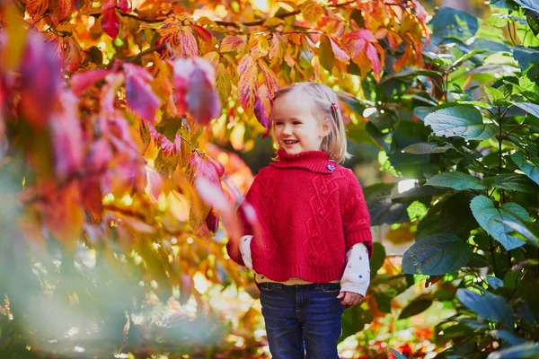 Urocza Dziewczynka Bawiąca Się Jesiennym Parku Szczęśliwy Dzieciak Cieszący Się — Zdjęcie stockowe
