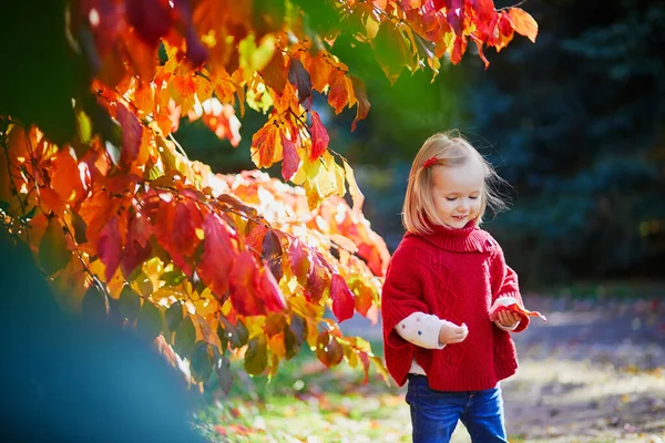 Adorable Niña Jugando Parque Otoño Niño Feliz Disfrutando Del Día —  Fotos de Stock