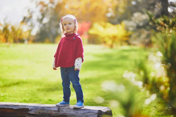 Roztomilé Batole Dívka Hraje Podzimním Parku Šťastné Dítě Užívá Podzimního — Stock fotografie