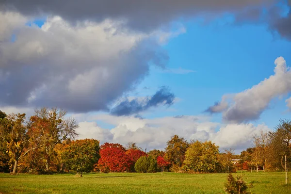 11月の天気の良い秋の日にフランス パリの近くのヴェルサイユの美しい樹木園 — ストック写真
