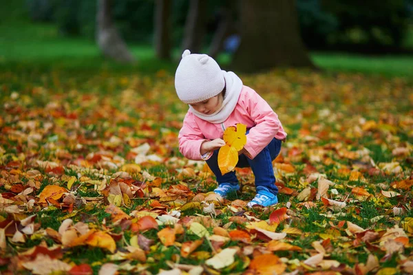 Очаровательная Девочка Сидящая Земле Собирающая Опавшие Листья Осеннем Парке Счастливый — стоковое фото