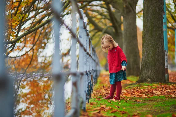 Schattig Peutermeisje Dat Het Najaarspark Parijs Speelt Gelukkige Jongen Geniet — Stockfoto