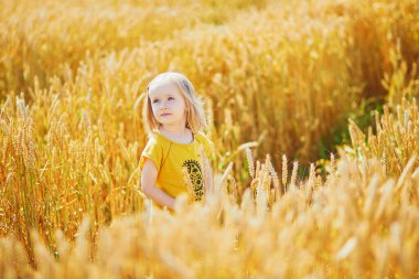 Güneşli bir günde altın buğday tarlasında küçük tatlı bir kız. Çavdarın altın kulakları arasında yürüyen bir çocuk