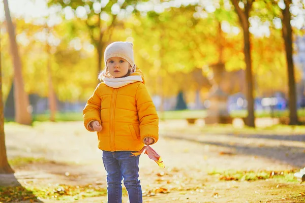 Adorable Niña Chaqueta Amarilla Caminando Parque Otoño Día Soleado Otoño — Foto de Stock