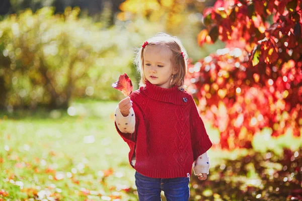 Menina Adorável Criança Brincando Parque Outono Criança Feliz Desfrutando Dia — Fotografia de Stock