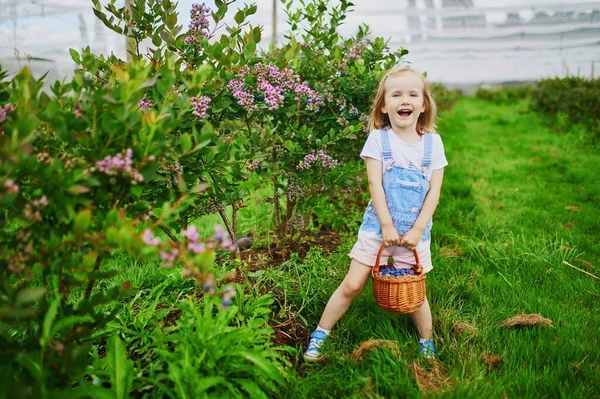 Adorable Girl Picking Fresh Organic Blueberries Farm Delicious Healthy Snack — Stock Photo, Image