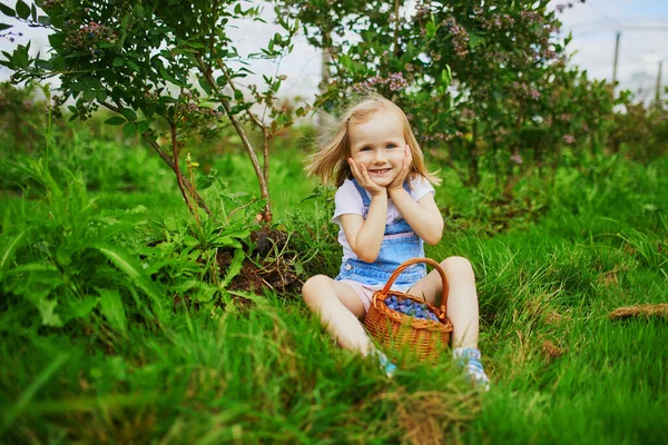 Adorable Girl Picking Fresh Organic Blueberries Farm Delicious Healthy Snack — Stock Photo, Image