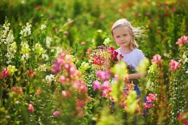Adorable Girl Picking Beautiful Antirrhinum Flowers Farm Outdoor Summer Activities Royalty Free Stock Photos