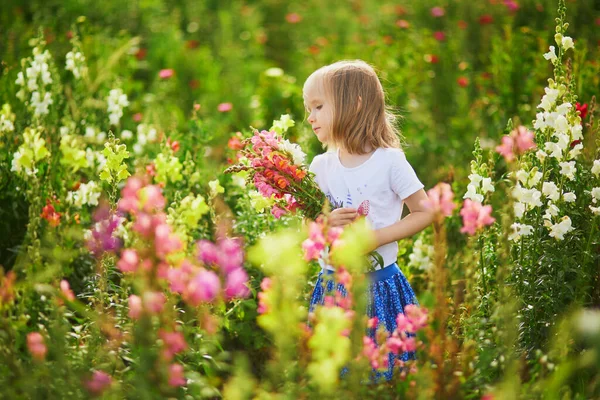Adorable Girl Picking Beautiful Antirrhinum Flowers Farm Outdoor Summer Activities Royalty Free Stock Images