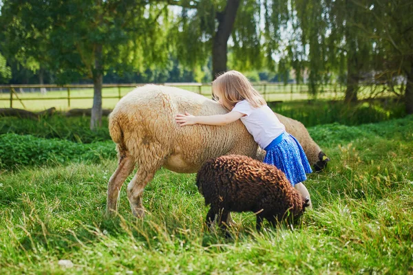 Чарівна Маленька Дівчинка Грає Вівцями Фермі Дитина Знайомиться Тваринами Сільське — стокове фото