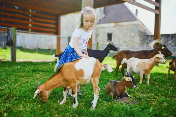 Menina Adorável Brincando Com Cabras Fazenda Criança Familiarizando Com Animais — Fotografia de Stock