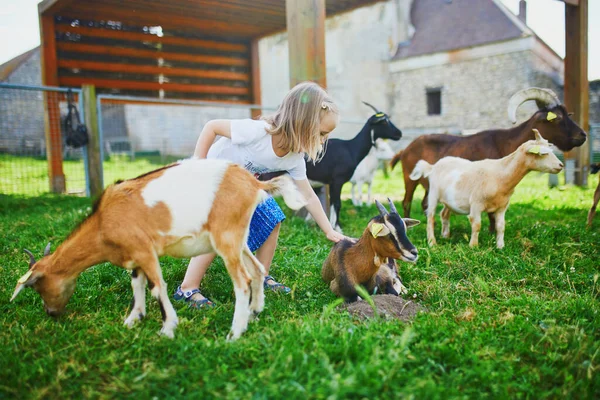 Adorable Niñita Jugando Con Cabras Granja Niña Familiarizándose Con Los —  Fotos de Stock