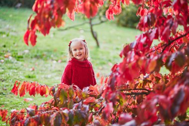 Sonbahar parkında oynayan sevimli küçük kız. Mutlu çocuk, parlak kırmızı yapraklarla güz gününün tadını çıkarıyor. Çocuklar için açık hava etkinlikleri