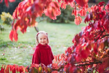 Sonbahar parkında oynayan sevimli küçük kız. Mutlu çocuk, parlak kırmızı yapraklarla güz gününün tadını çıkarıyor. Çocuklar için açık hava etkinlikleri