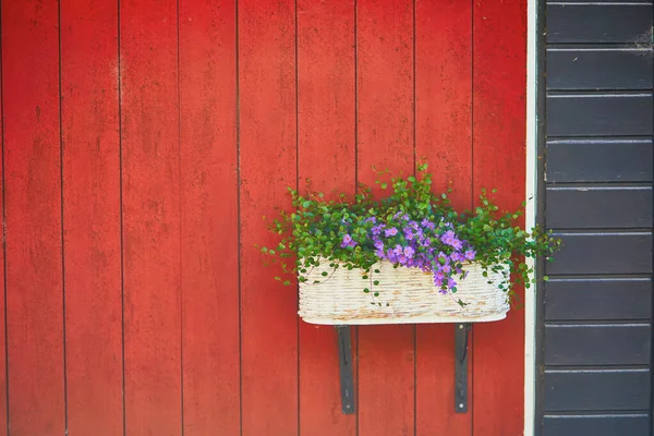 Panela Com Violetas Parede Madeira Uma Casa — Fotografia de Stock