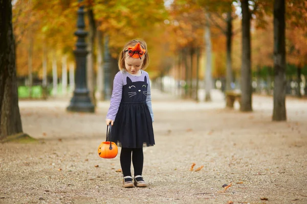 チュチュのスカートのトリックやオレンジのカボチャのバケツで扱う黒い猫のドレスの愛らしい幼児の女の子 パリでハロウィンを祝う幸せな子供 フランス — ストック写真