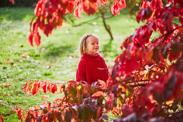 Adorable Toddler Girl Playing Autumn Park Happy Kid Enjoying Fall — Stock Photo, Image