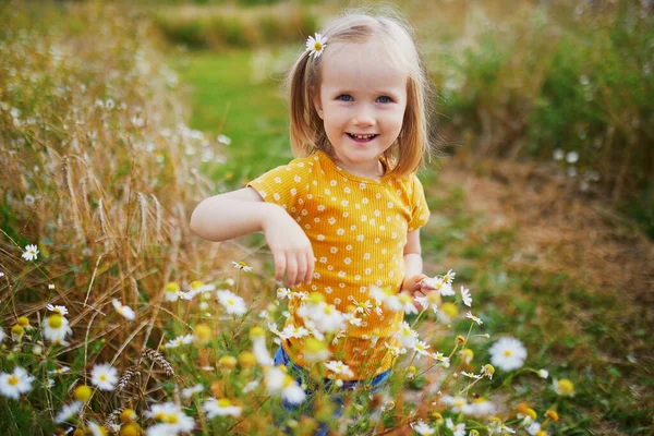 Чарівна Дівчина Дошкільник Серед Зеленої Трави Красиві Ромашки Літній День — стокове фото