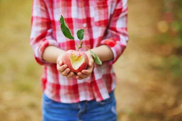 穿着红白相间衬衫的学龄前女孩拿着一个心形的苹果 秋天的一天 在果园或农场采摘成熟的有机苹果 为儿童举办的户外秋季活动 — 图库照片