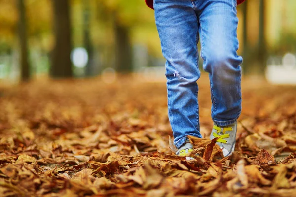 Förskoleflicka Eller Pojke Som Går Och Sparkar Fallna Löv Höstdag — Stockfoto