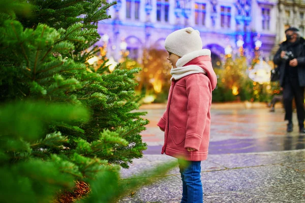 フランスのクリスマスマーケットで愛らしい未就学児の女の子 子供と一緒に季節の冬の休日を祝う — ストック写真