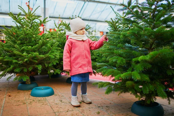 Felice Allegra Ragazza Età Prescolare Sul Mercato Degli Alberi Natale — Foto Stock