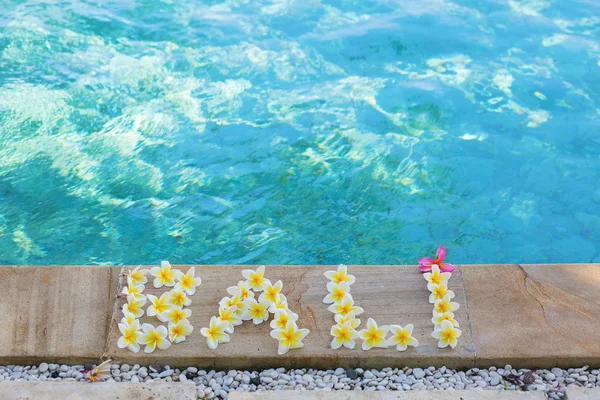 Palavra Bali escrito com flores de frangipani — Fotografia de Stock