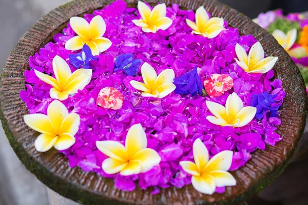 Frangipani fleurs dans un bol d'eau — Photo