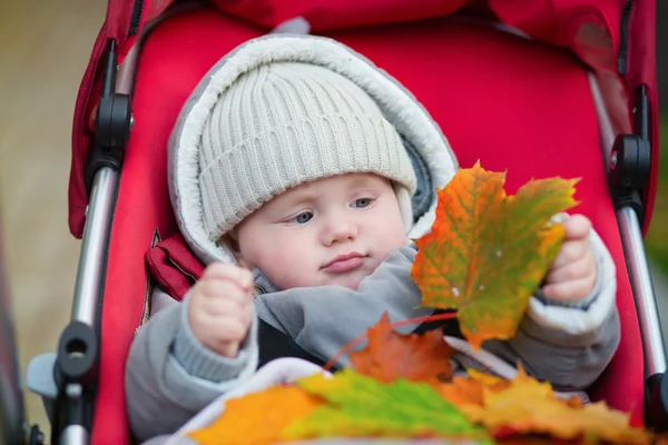 9 meses menino no carrinho brincando com folhas — Fotografia de Stock