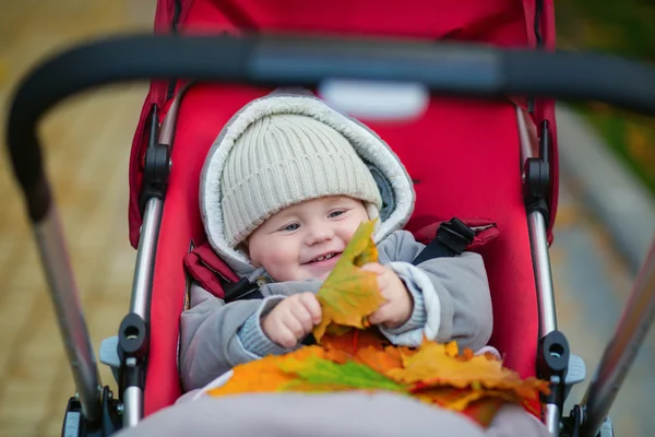 9 Monate Junge im Kinderwagen spielt mit Blättern — Stockfoto