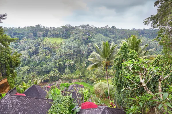 Trä bulgalows på en kulle på Bali, Indonesien — Stockfoto