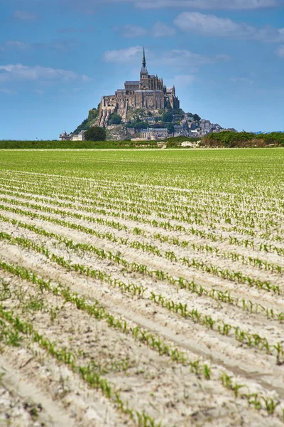 Mont Saint-Michel, Normandia, Francja — Zdjęcie stockowe