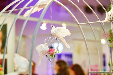 Altın yüzük onların burnu holding beyaz güvercinler