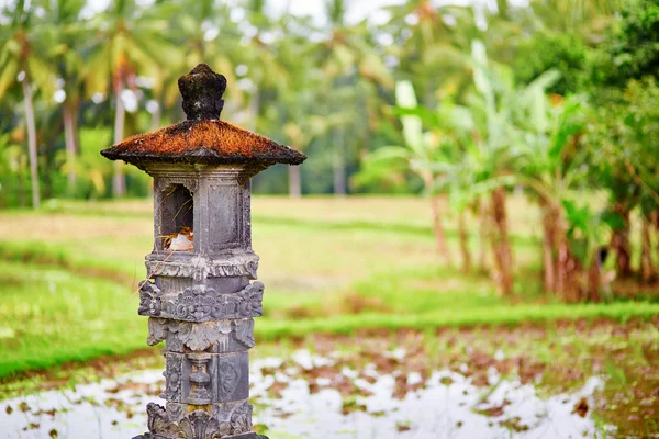 Litet skrin på risfält nära Ubud på Bali — Stockfoto