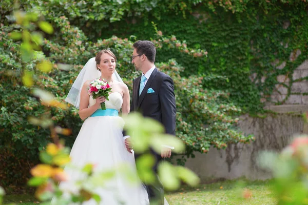 Bride and groom in a garden — Stock Photo, Image