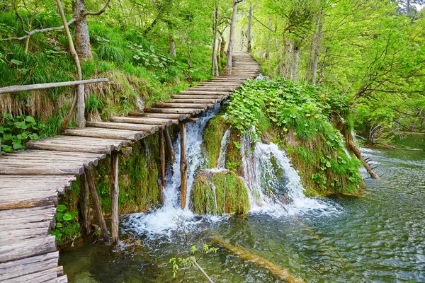 Cascatas em Plitvice lagos parque nacional — Fotografia de Stock