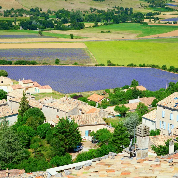 Veduta aerea dei campi di lavanda in Francia — Foto Stock