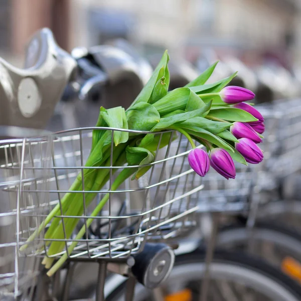 Spring is coming! Bunch of tulips in basket of Parisian public b — Stock Photo, Image