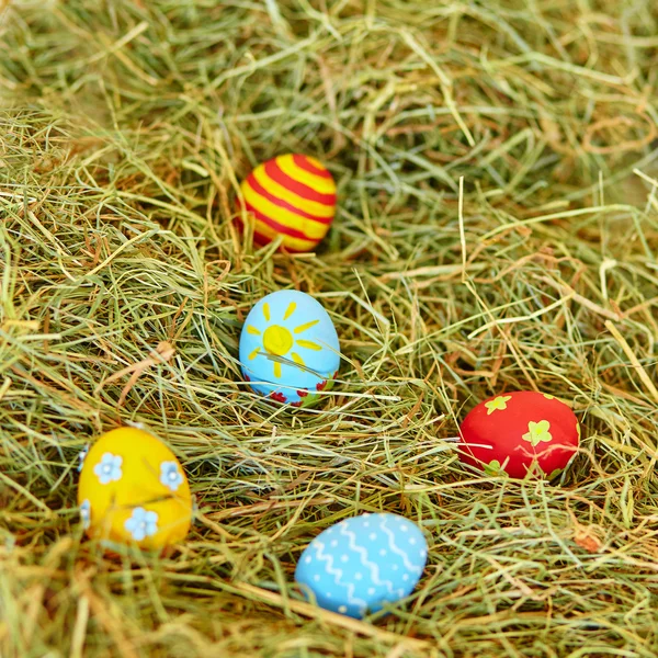 Œufs de Pâques peints dans l'herbe sèche — Photo