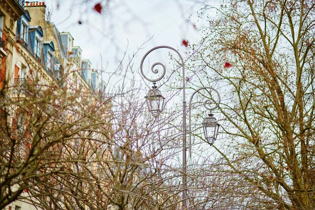 Parisian lantern and branches
