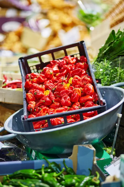 Frischer Bio-Pfeffer auf dem Londoner Bauernmarkt — Stockfoto