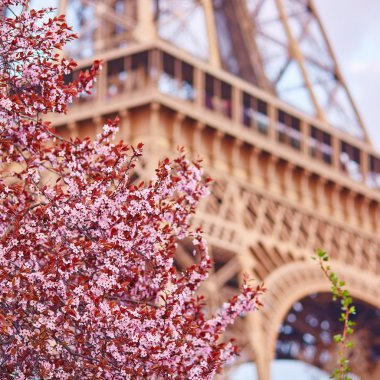 Spring in Paris clipart