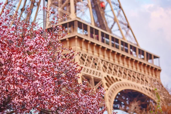 Primavera en París — Foto de Stock