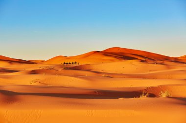 sahara Çölü'nde deve karavan