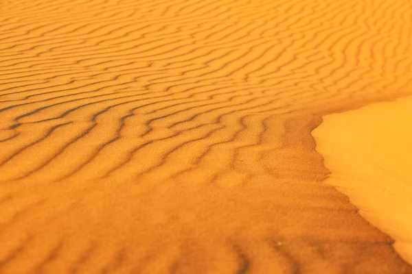 사하라 사막의 모래 언덕 — 스톡 사진