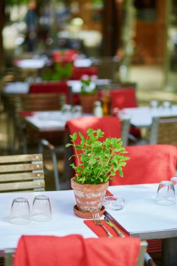 Rahat Paris Restoran tabloları