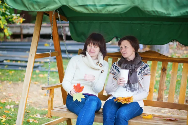 Middle aged woman with her daughter on a swing — Stock Photo, Image