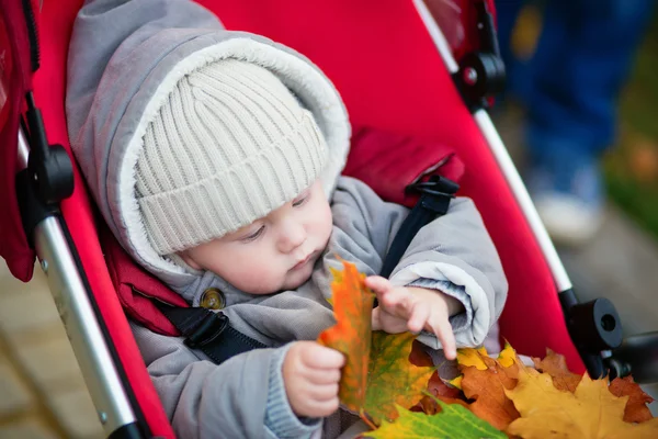 Bonito menino de 9 meses no carrinho brincando com folhas — Fotografia de Stock