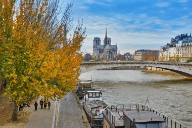 Notre-Dame de Paris parlak sonbahar günü